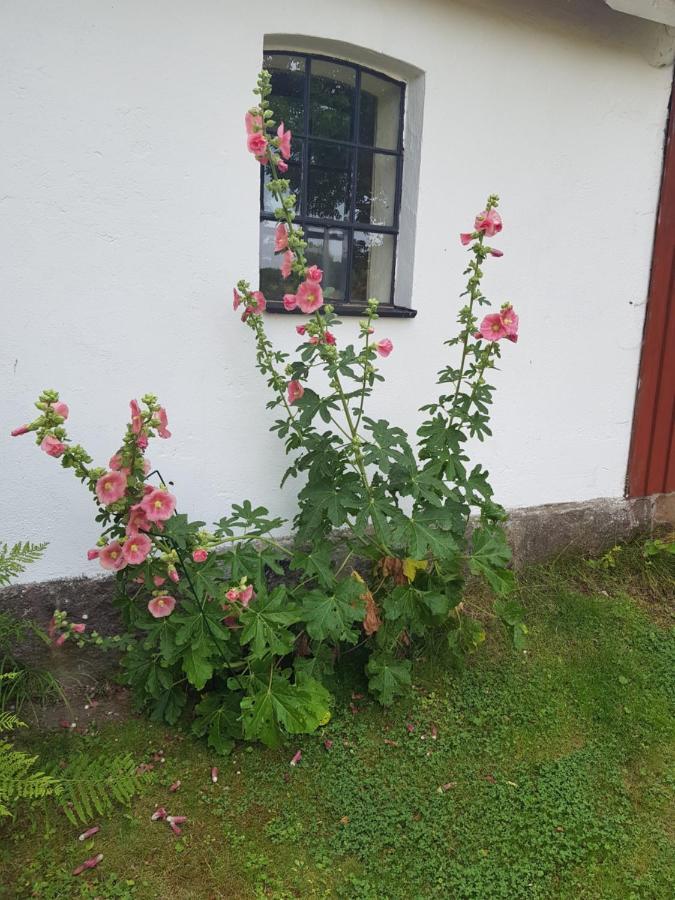 4B Oesterlen Bed & Breakfast Tomelilla Eksteriør billede